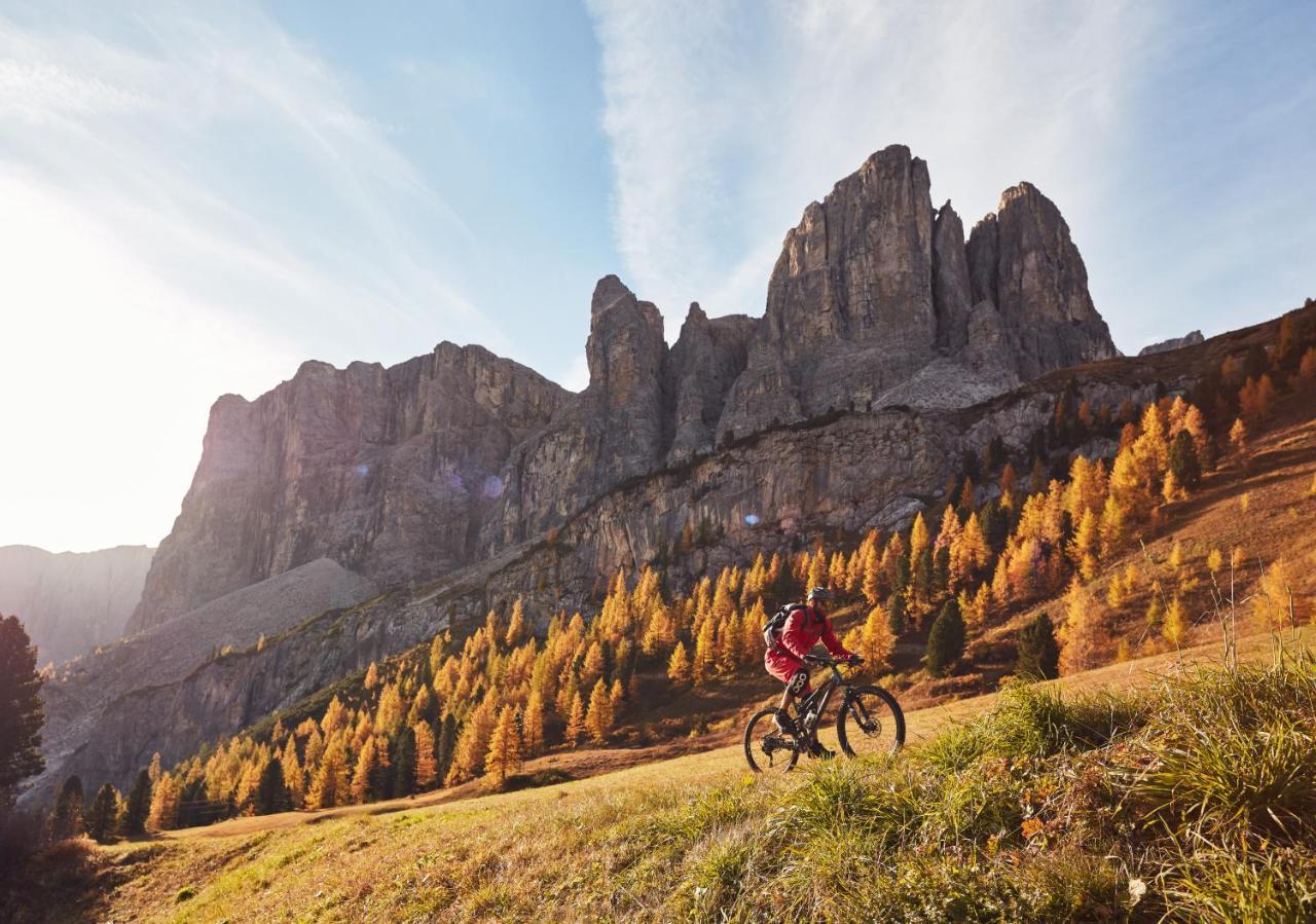 Chalet Elisabeth Dolomites Alpin & Charme سيلفا دي فال جاردينا المظهر الخارجي الصورة