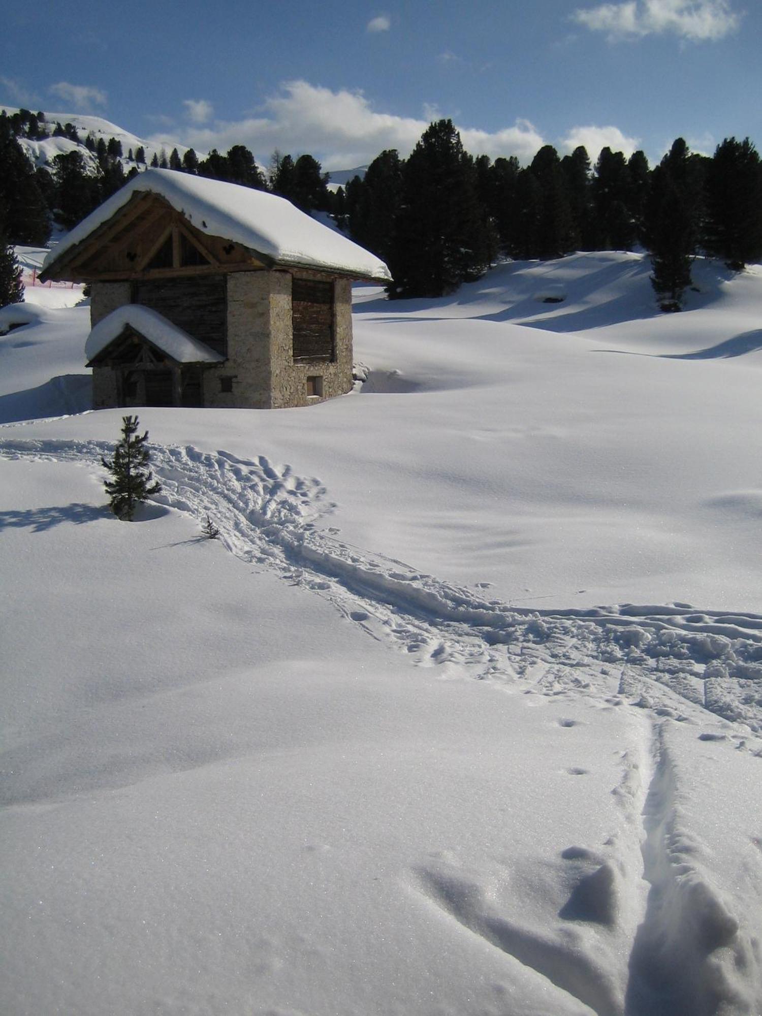 Chalet Elisabeth Dolomites Alpin & Charme سيلفا دي فال جاردينا المظهر الخارجي الصورة