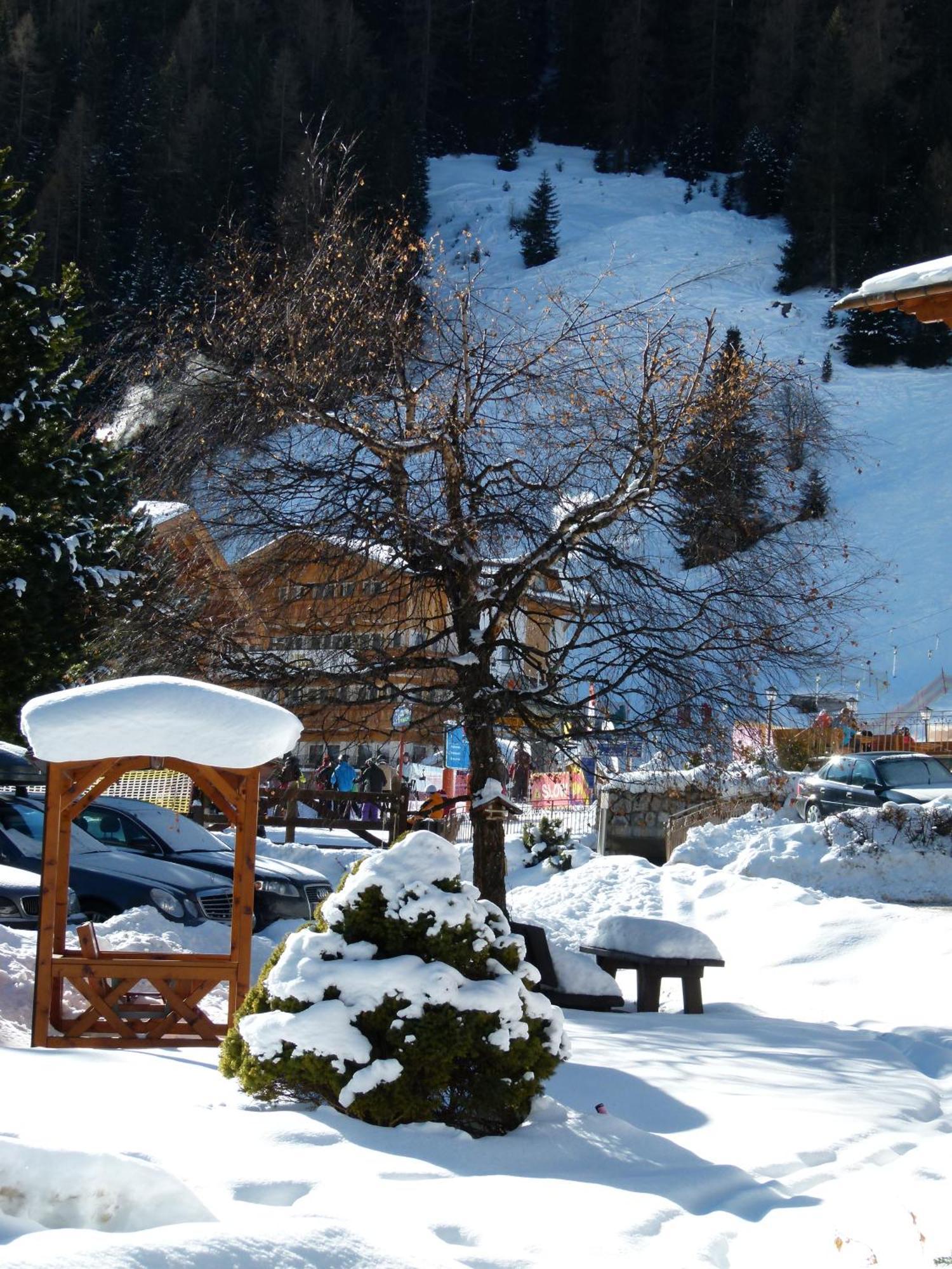 Chalet Elisabeth Dolomites Alpin & Charme سيلفا دي فال جاردينا المظهر الخارجي الصورة