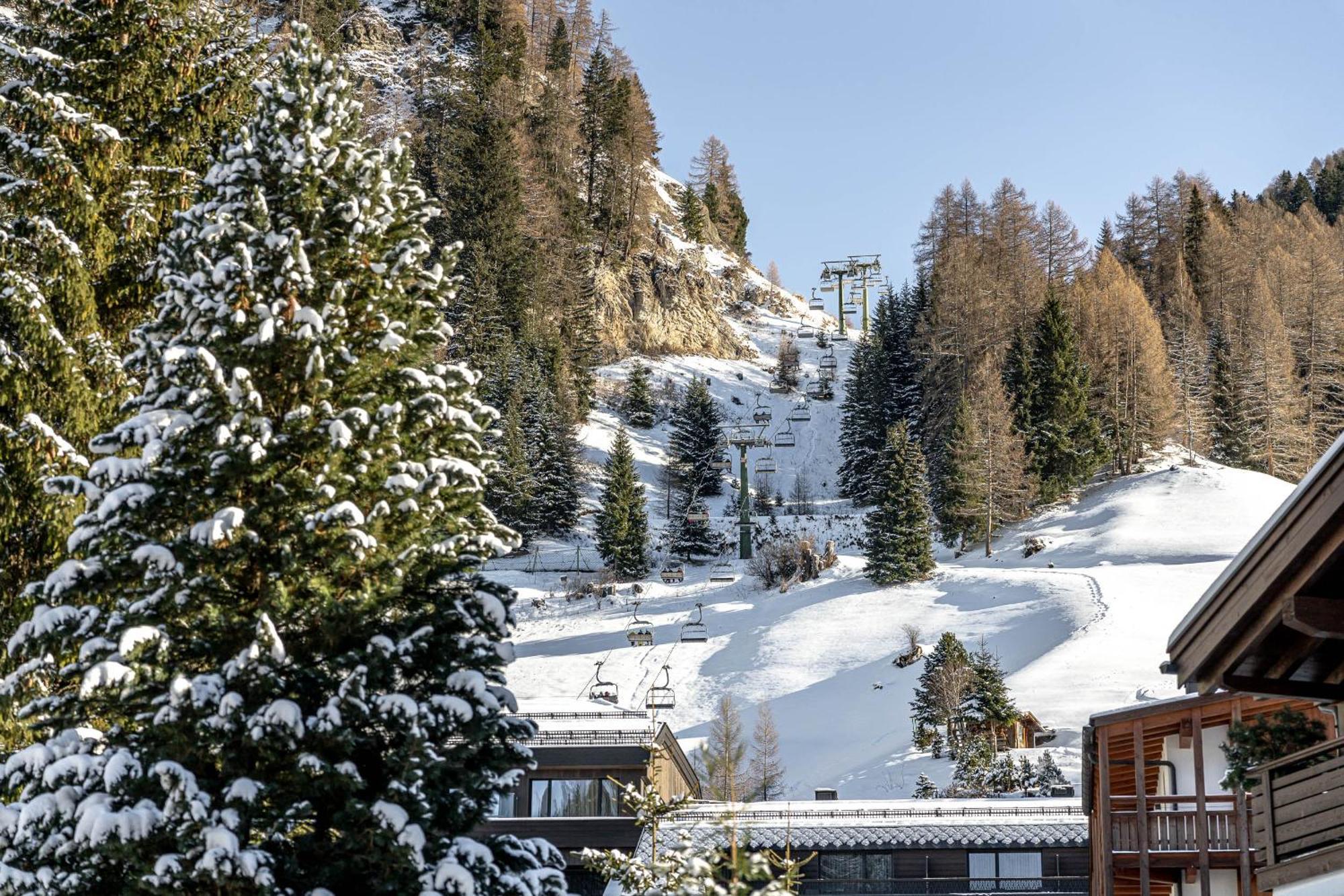 Chalet Elisabeth Dolomites Alpin & Charme سيلفا دي فال جاردينا المظهر الخارجي الصورة